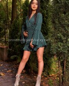 Анкета проститутки Эвелина - метро Тверской, возраст - 19